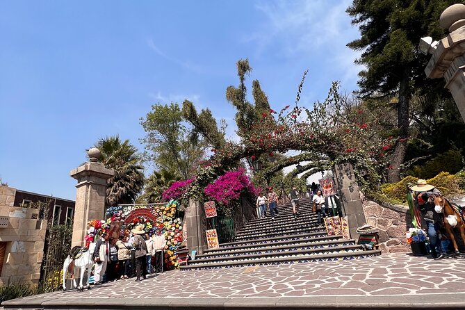 100% private tour in Guadalupe's Basilica with transport - What private transport changes in Mexico City