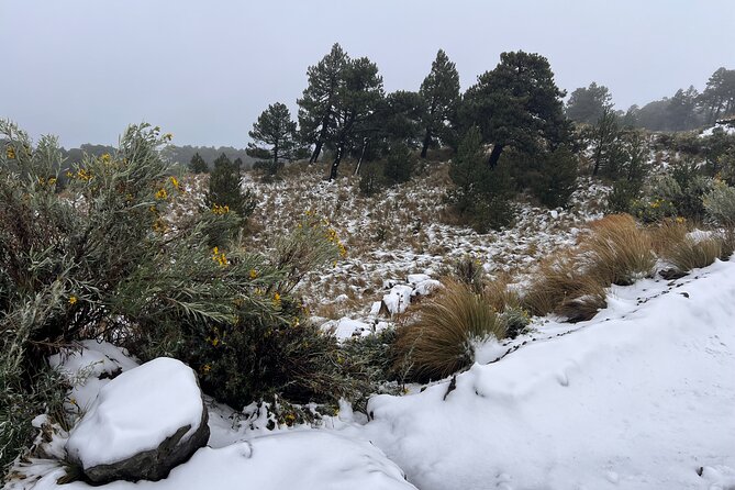 3 Hour Private Hike: Mountain Nevado Toluca from Mexico City - Who should book this hike