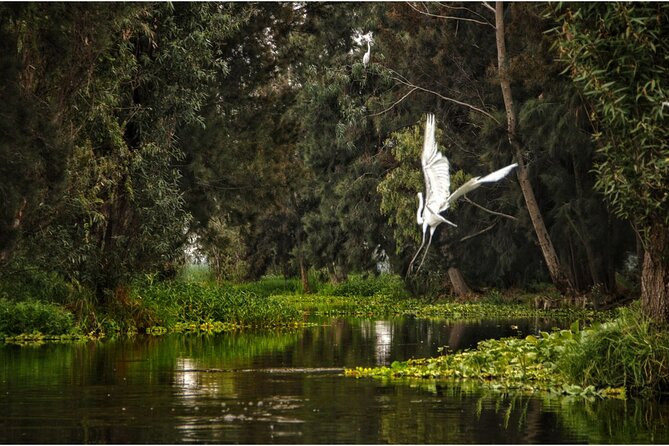 3 Hours of Kayaking at the Ancient Canals of Xochimilco - Leaving Embarcadero Cuemanco before the crowds
