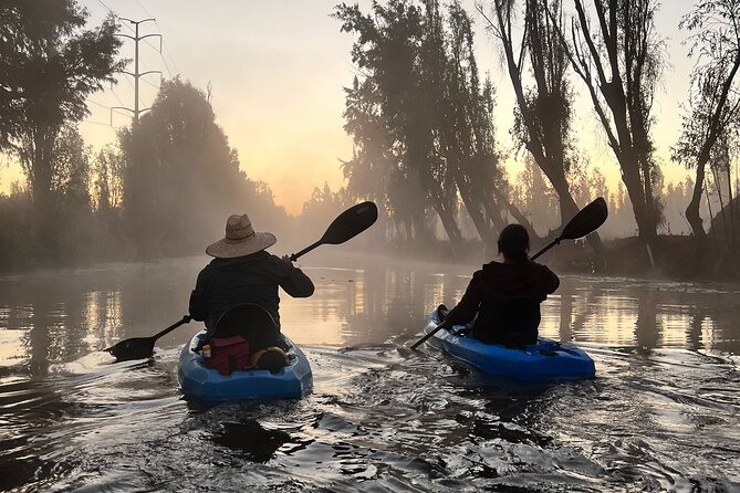 3 Hours of Kayaking at the Ancient Canals of Xochimilco - Birdwatching, fish, and canal-side plants