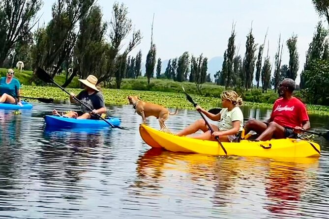 3 Hours of Kayaking at the Ancient Canals of Xochimilco - Grant’s role as guide and teacher