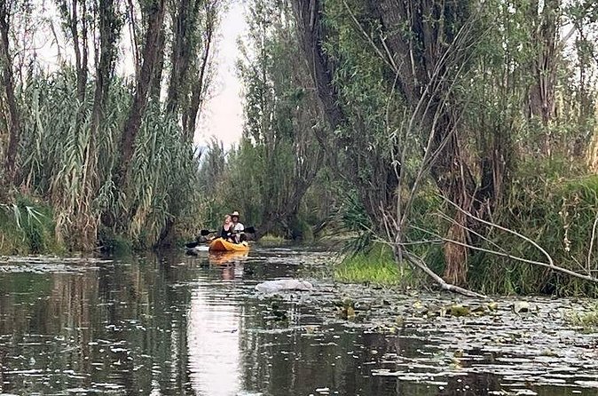 3 Hours of Kayaking at the Ancient Canals of Xochimilco - How the early start changes the experience
