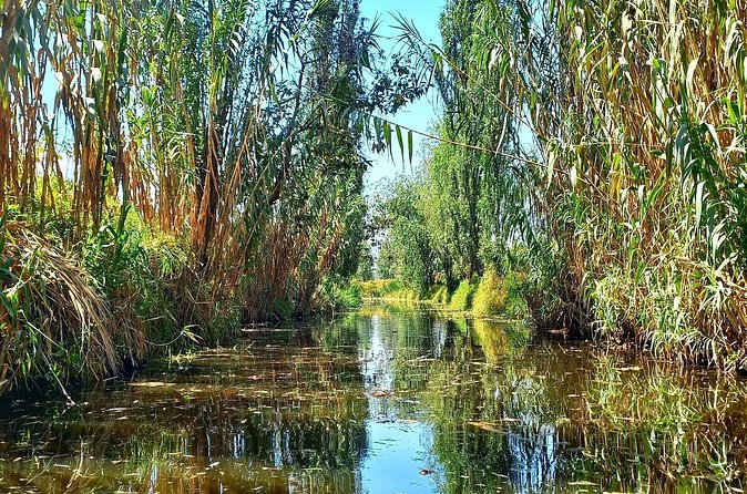 3 Hours of Kayaking at the Ancient Canals of Xochimilco - What the $71.65 price means