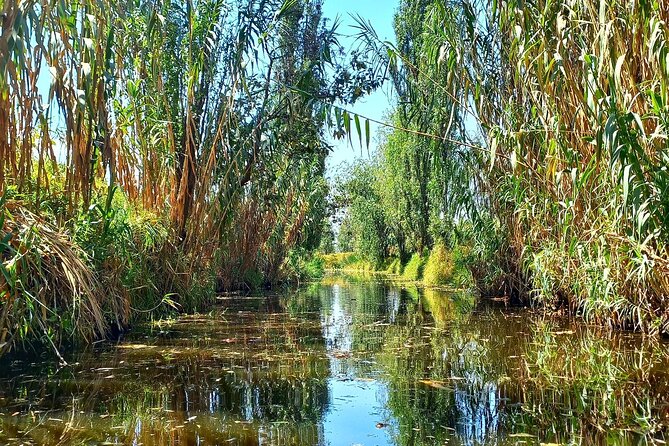 3 Hours of Kayaking at the Ancient Canals of Xochimilco - Who should book this kayaking trip