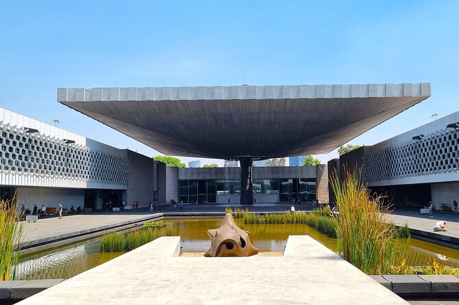 Anthropology Museum Early Access Tour - Why the Anthropology Museum deserves your morning