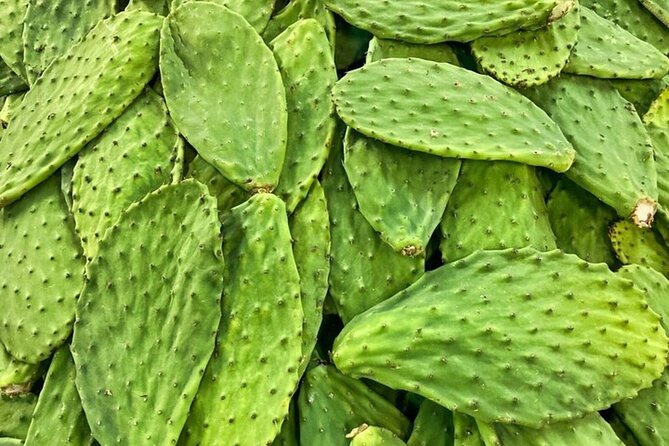 Best of Roma Sur Food Crawl in Mexico City - Food, stories, and the guide’s role