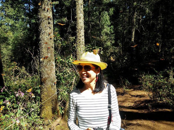 Butterfly Monarch Tour from Mexico City - What the $250 price really covers
