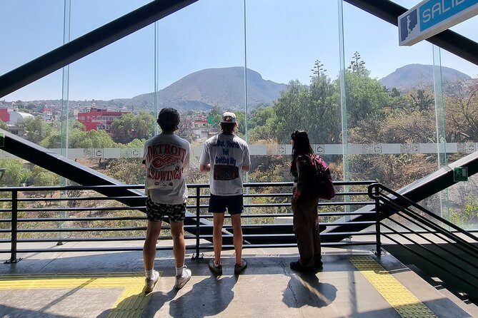 CableCar Experience: Off the Beaten Path Mexico City Walking Tour - Tacos at Mercado Desarrollo Urbano Quetzalcoatl