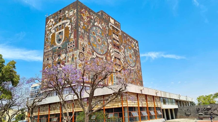 CDMX: Coyoacán, UNAM, Xochimilco, and optional Frida Kahlo Museum - Transport, timing, and the real cost of a $48 tour