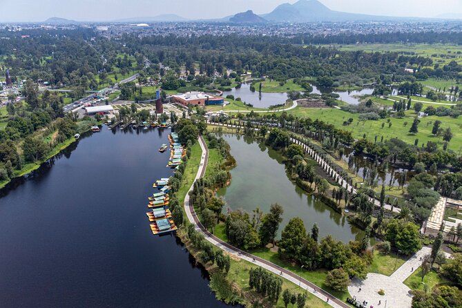 CDMX Enjoy a unique tour of Xochimilco and Coyoacán - Lunch, shopping, and changes to the planned route
