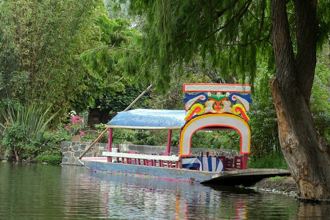 CDMX Enjoy a unique tour of Xochimilco and Coyoacán - Transport, group size, and the real pace of the day