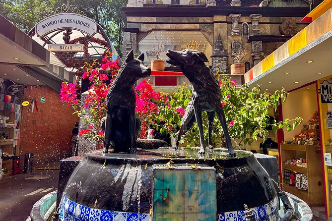 CDMX Enjoy a unique tour of Xochimilco and Coyoacán - Who should book this tour