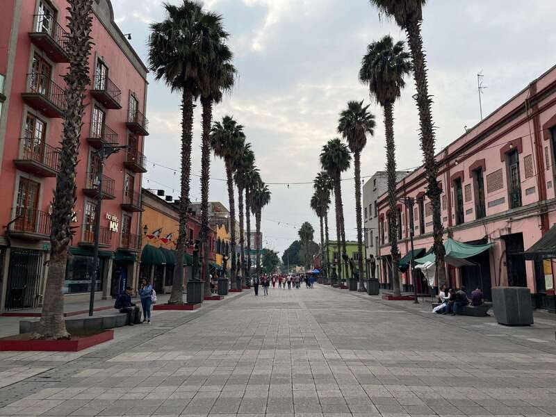 CDMX: Garibaldi Copa Show - The toast, and what it really covers