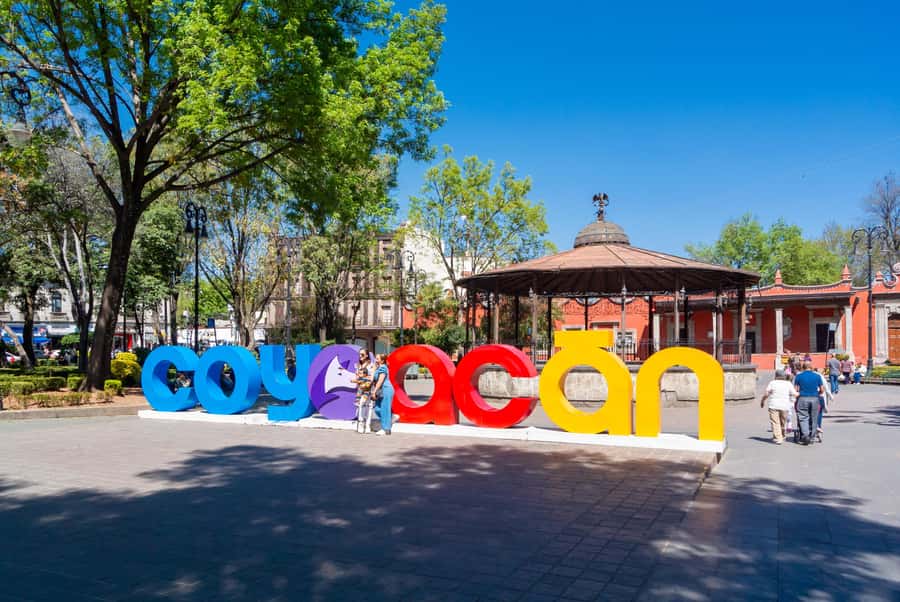 CDMX: Tour of Xochimilco and Coyoacán with option to visit the Frida Kahlo Museum - A short stop for Mexican crafts