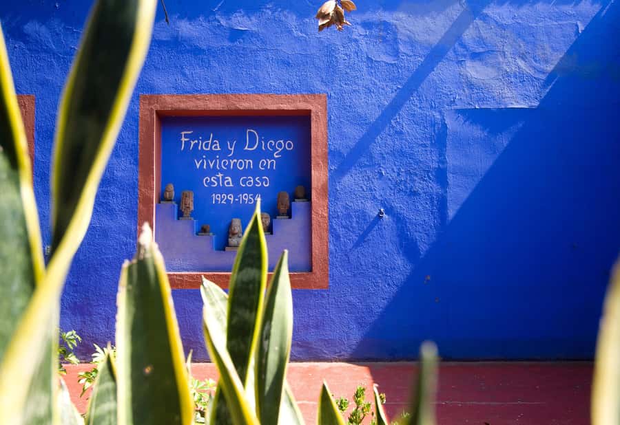 CDMX: Tour of Xochimilco and Coyoacán with option to visit the Frida Kahlo Museum - UNAM’s murals and Olympic Stadium