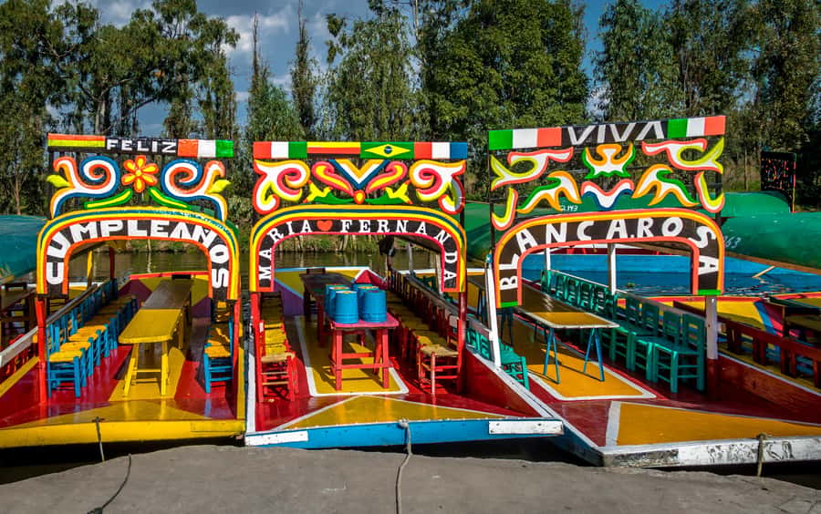 CDMX: Tour of Xochimilco and Coyoacán with option to visit the Frida Kahlo Museum - Starting in central Mexico City