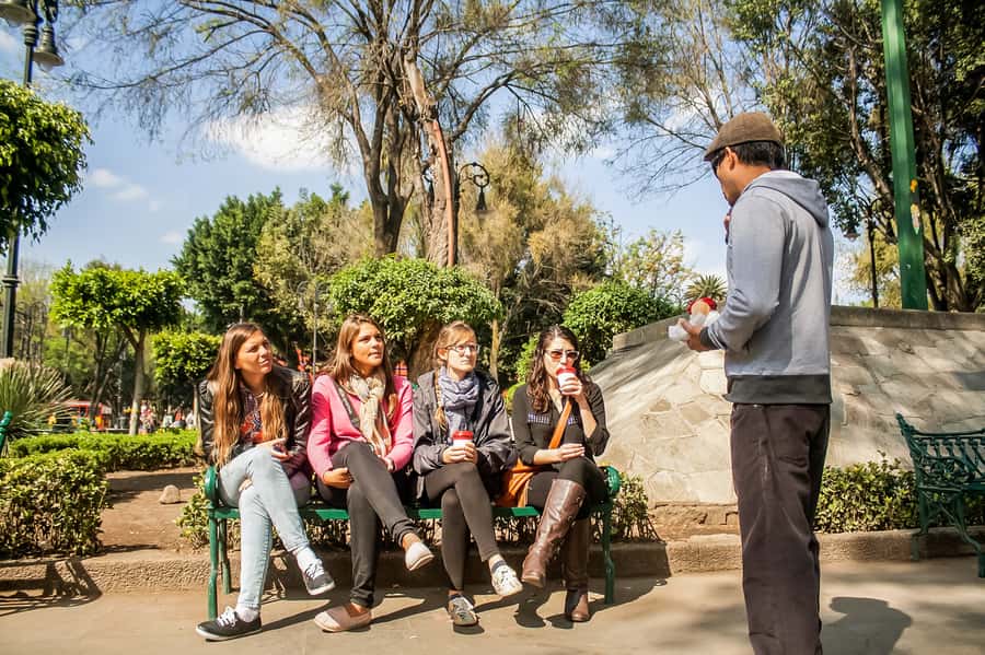 CDMX: Xochimilco, Coyoacan, Frida Kahlo Museum & Murals Tour - Is the $89 price good value?