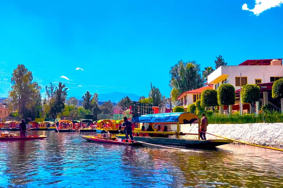 CDMX: Xochimilco Trajinera Party, Drinks, Mariachi & Tacos - Tacos bring the boat ride to a close