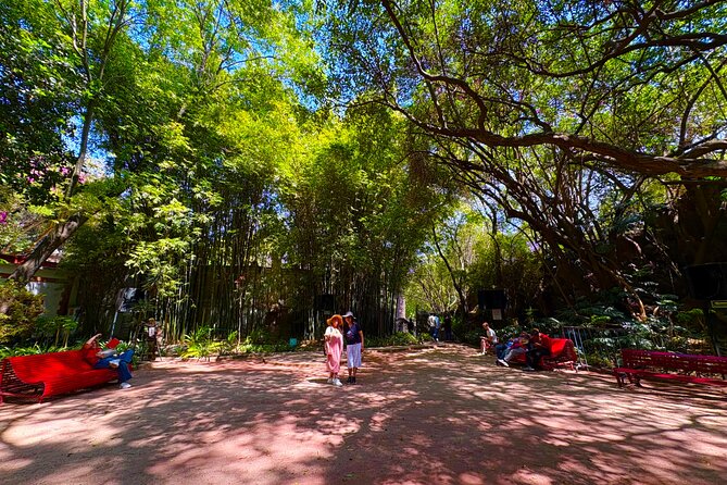 Chapultepec Castle & forest: History, Nature, and Hidden Secrets - Mexica Stone Carvings Near the Castle