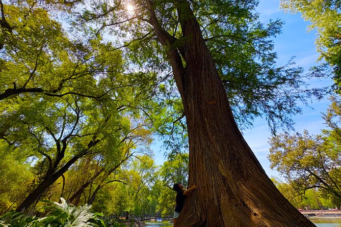 Chapultepec Castle & forest: History, Nature, and Hidden Secrets - The Lakes of Chapultepec and Porfirio Díaz’s Mark