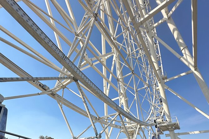 Chapultepec Park and Ferris Wheel Bike Tour - A private tour with a guide in English or Spanish