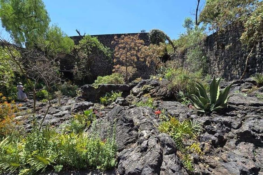 CMDX: Luis Barragan Legacy Exclusive Tour at Casa Pedregal - Who will enjoy Casa Pedregal most