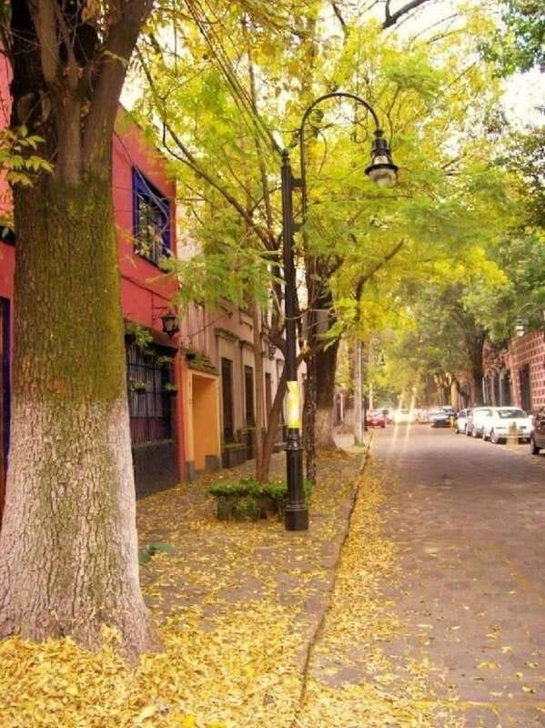 COYOACAN: FRIDA KAHLO STEPS IN COYOACAN AND SAN ANGEL CDMX - Santa Catarina adds local atmosphere