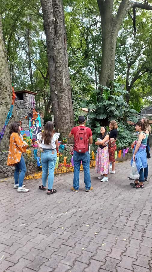 Coyoacan, history and life in a magical neighborhood - Key points at a glance