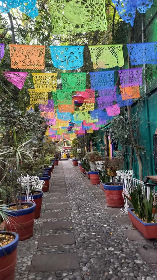Coyoacan, history and life in a magical neighborhood - Walking the main avenue toward the center