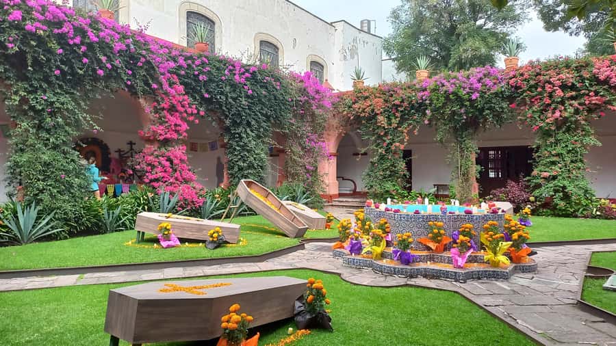 Coyoacan, history and life in a magical neighborhood - What the guides add to the experience