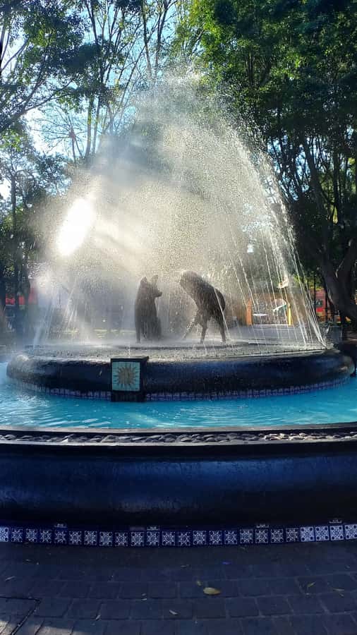 Coyoacan, history and life in a magical neighborhood - Is $19 a fair price?