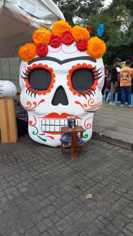 Coyoacan, history and life in a magical neighborhood - Who should book this walk?