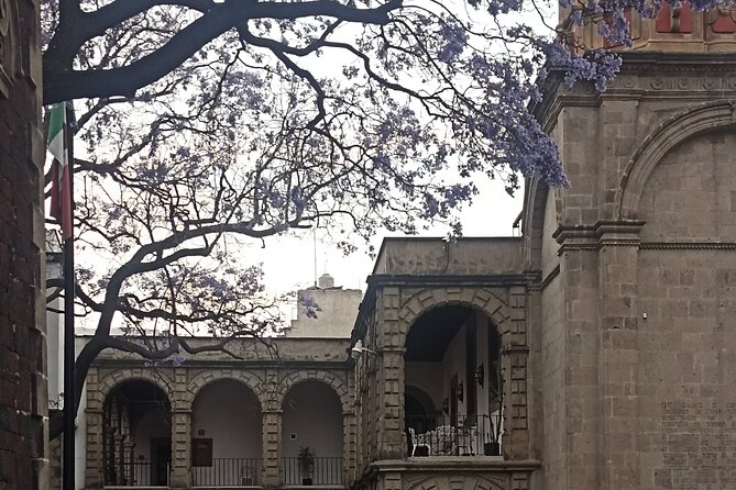 Curious and original Tour in the Historic Center of CDMX - Why this Centro Histórico walk feels different