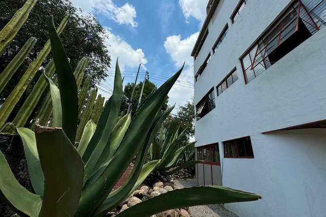 Diego Rivera Frida Kahlo Studio House Tour - Should you book the Diego Rivera and Frida Kahlo Studio House Tour?