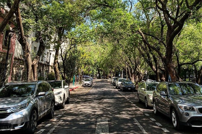 Epic Condesa and Roma Norte Walking Tour - Squares, passages, and cultural buildings
