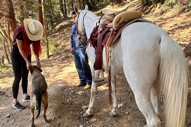 Exclusive Horseback Ride w/ Mexican Charros Family in México City - Lunch brings the family experience together
