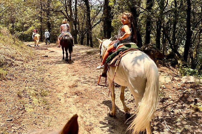 Exclusive Horseback Ride w/ Mexican Charros Family in México City - A private outing with a personal pace
