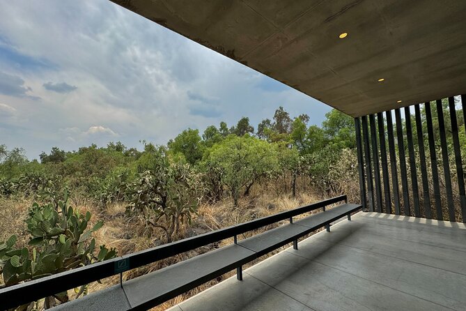 EXCLUSIVE TOUR at Diego Rivera Anahuacalli Museum - Small Groups - Guides who add the most value