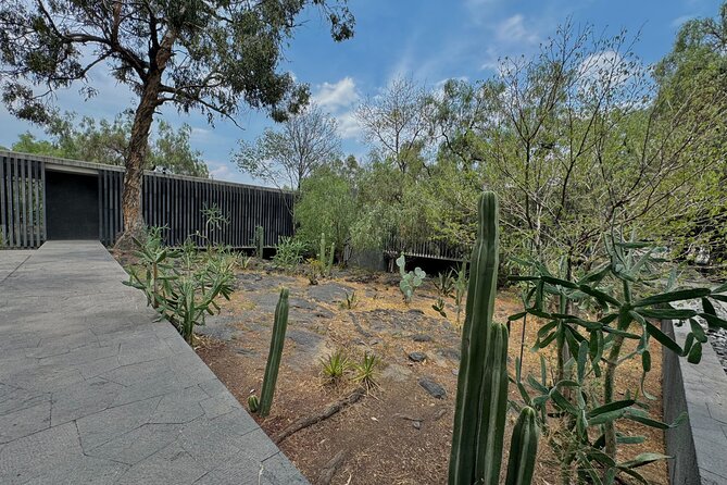 EXCLUSIVE TOUR at Diego Rivera Anahuacalli Museum - Small Groups - Who will enjoy this tour most