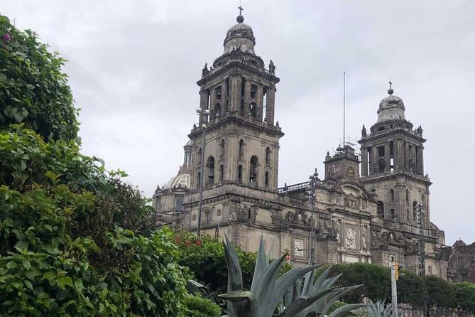 EXCLUSIVE TOUR Metropolitan Cathedral - Small Groups - Key points at a glance