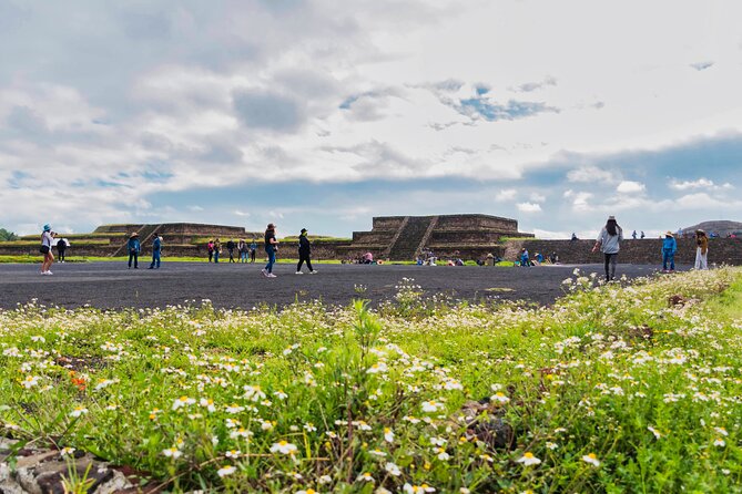 EXCLUSIVE TOUR Teotihuacán - Small Groups - Transport is the main question mark