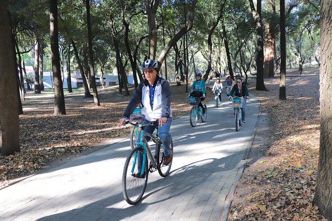 Explore Chapultepec & Mexico City sights by Bike - Morning or afternoon: choosing the better departure