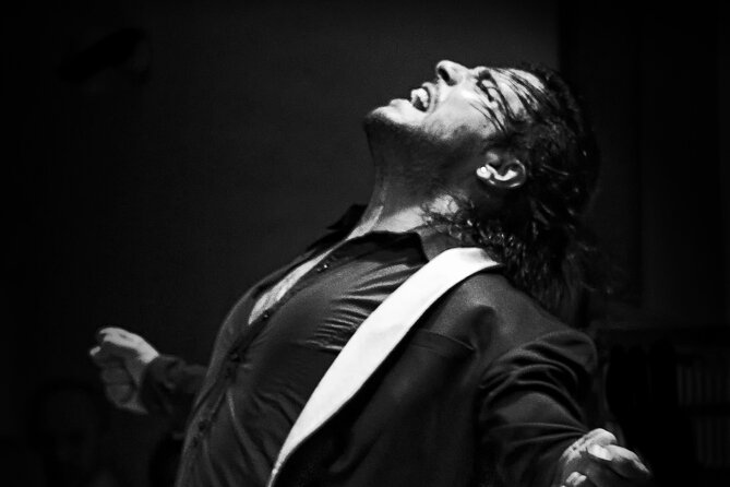 Flamenco Live Show and Dinner in Mexico City - A Spanish art form in a small Mexico City room