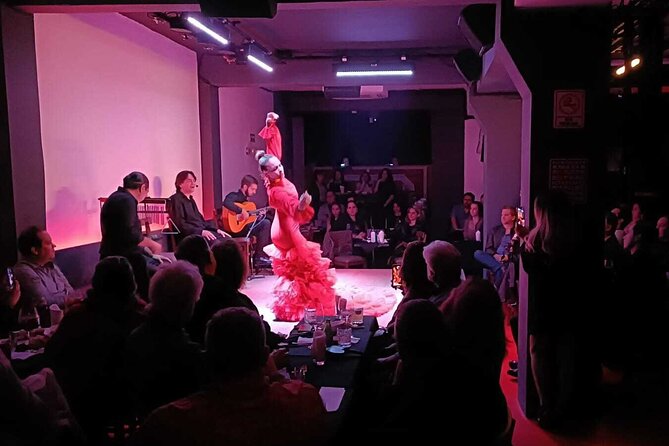 Flamenco Live Show and Dinner in Mexico City - Should you book this flamenco show?