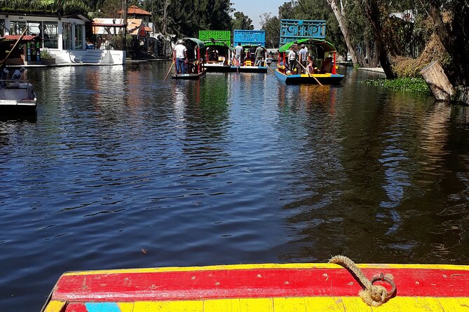 Floating Flower Gardens Of Xochimilco with a Local: Private & Personalized - Choosing between the market, museum, church, and park