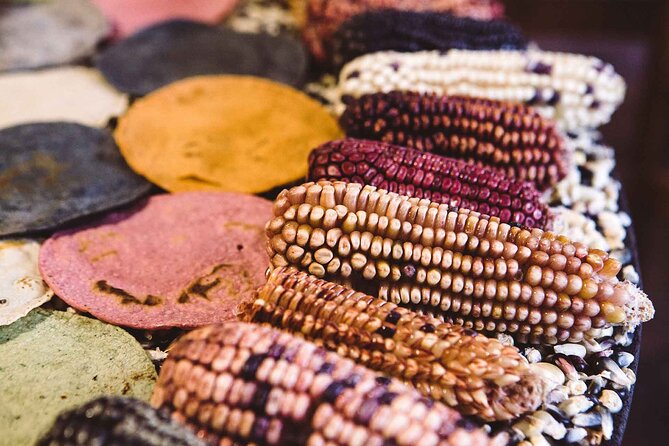 Foodie Tour in Polanco: Mexico Culinary roots! - Mezcal, Mexican wine, and a point to confirm