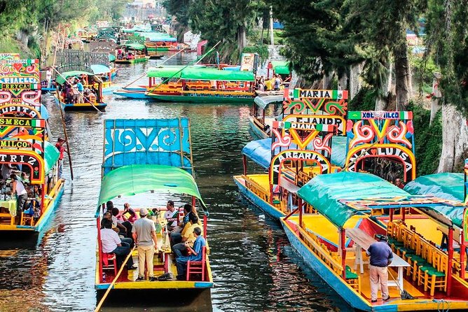 Frida Kahlo's House, Coyoacan and Xochimilco - All Day Tour - UNAM and Estadio Azteca: quick views with useful context