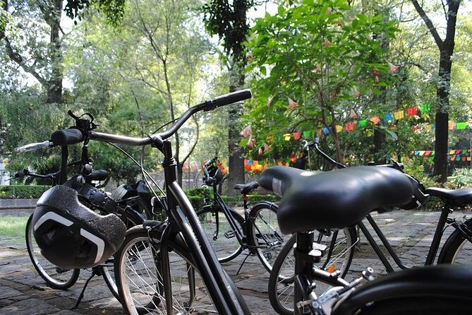 Frida Kahlo VIP - Bike & Churros [Museum Tickets Included] - Coyoacán Market, food, and everyday Mexico