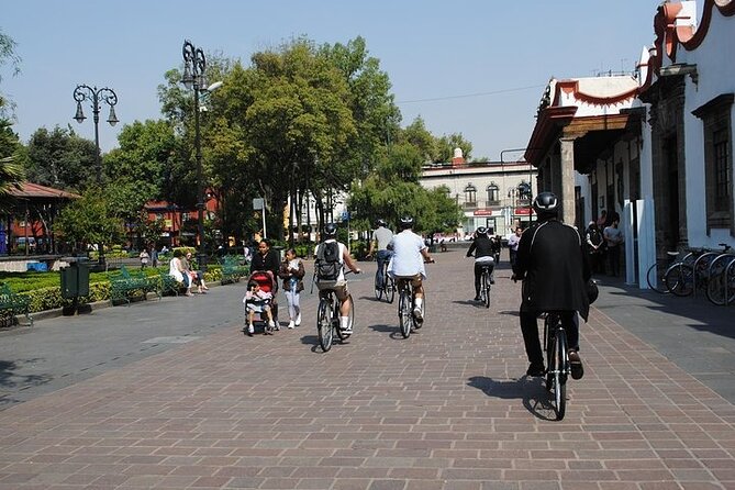 Frida Kahlo VIP - Bike & Churros [Museum Tickets Included] - Who should book this experience