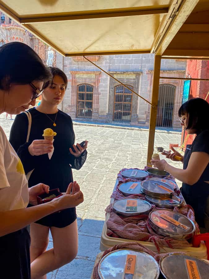 From CDMX: One day tour of colonial San Miguel de Allende - Arriving in colonial San Miguel de Allende